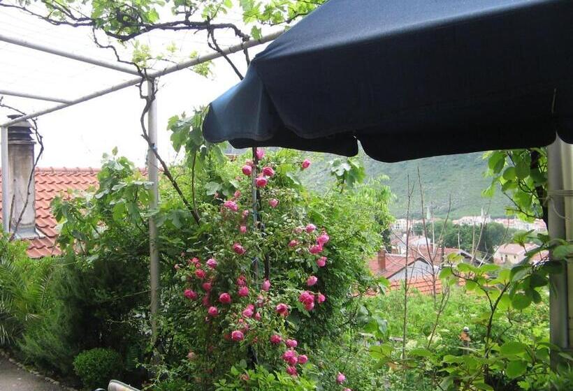 پانسیون Guesthouse Panorama