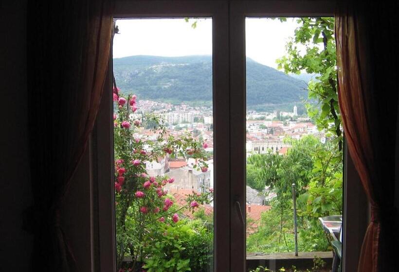 پانسیون Guesthouse Panorama