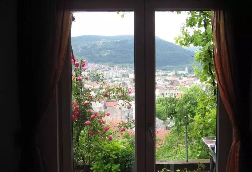 پانسیون Guesthouse Panorama