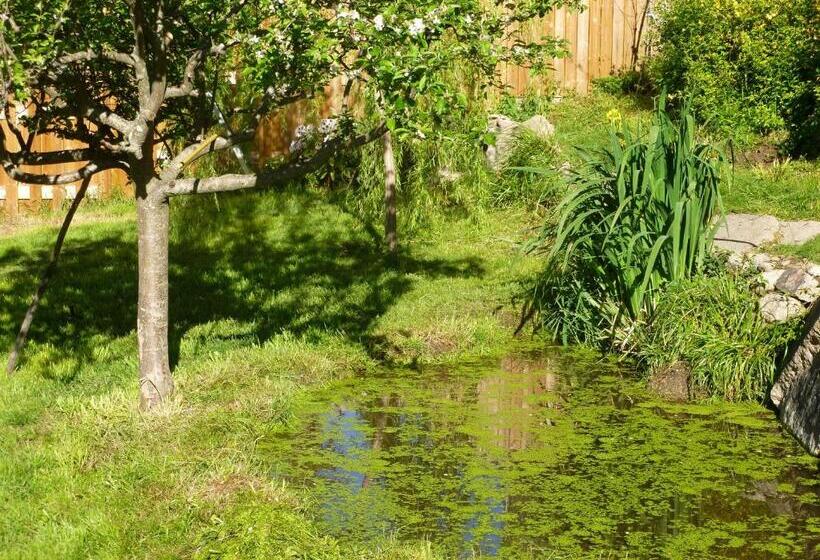 膳宿费 Maison Mauro