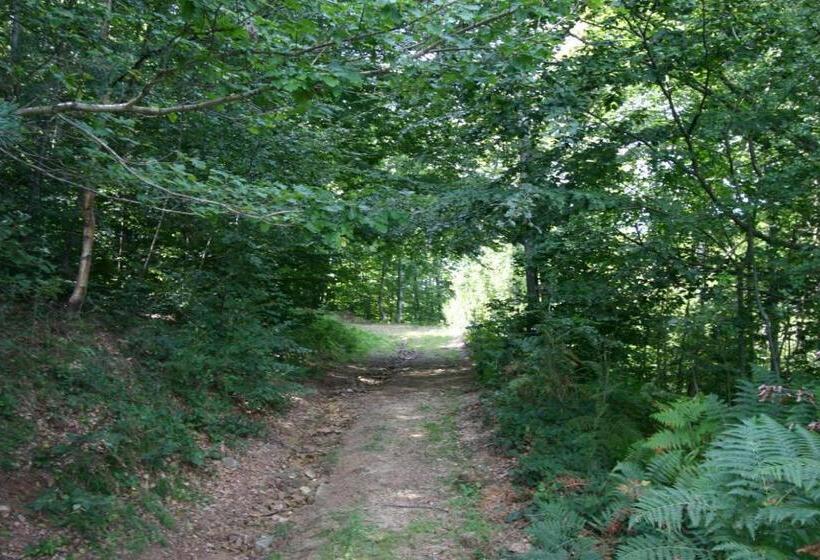 膳宿费 Maison Mauro