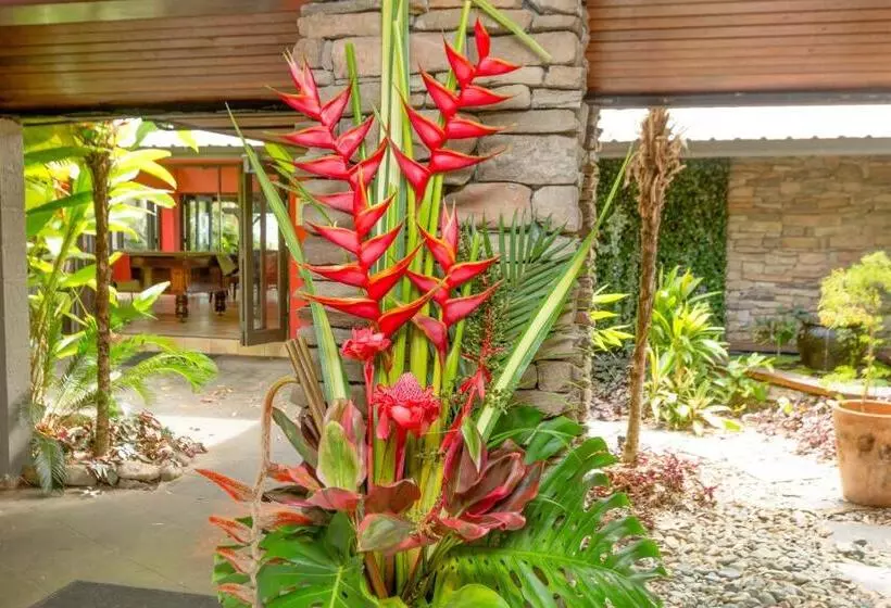 Turtle Cove Beach Resort   Adults Only Lgbtqia & Allies