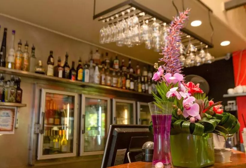 Turtle Cove Beach Resort   Adults Only Lgbtqia & Allies