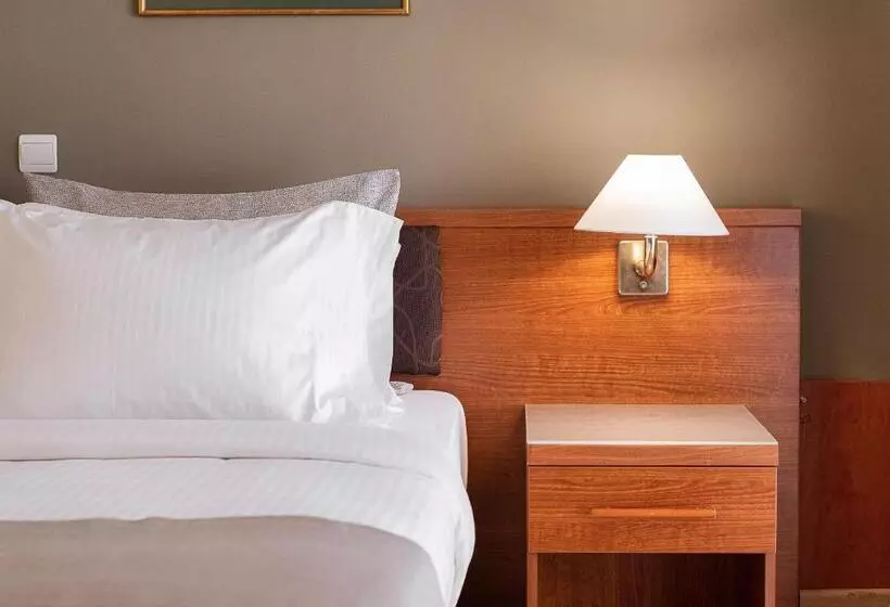 호텔 Acropolis Select