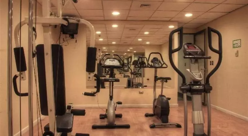 호텔 Diego De Almagro Aeropuerto