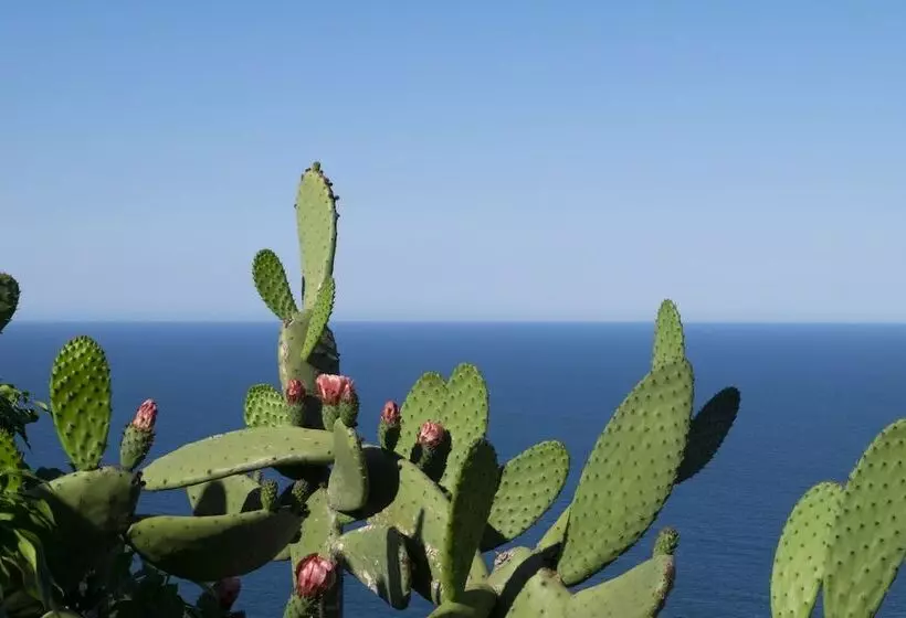 El Far Hotel Restaurant