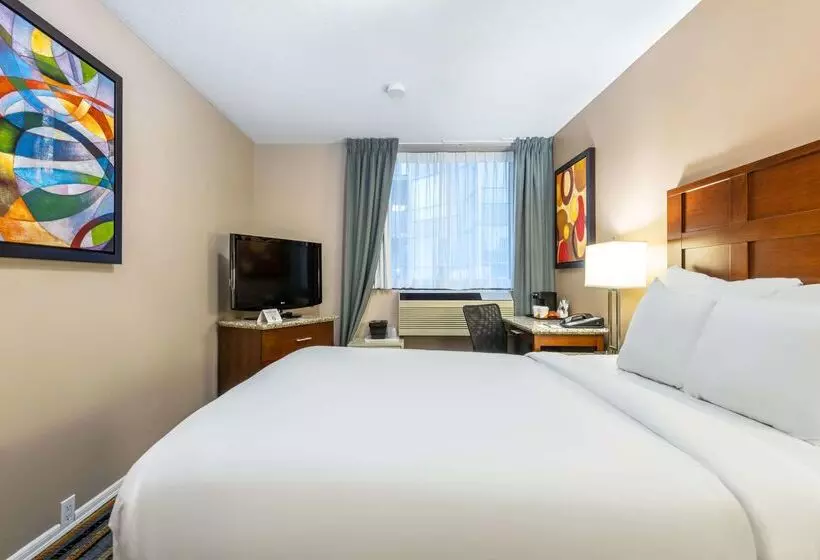 호텔 Quality Inn & Suites