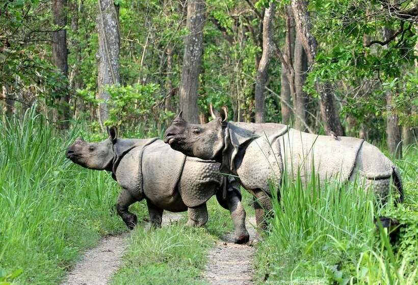 هتل Kingfisher Jungle Trekking Tour