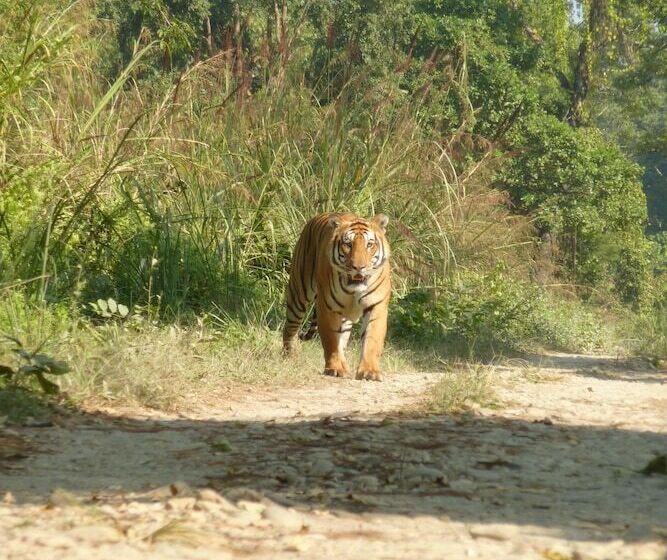 هتل Kingfisher Jungle Trekking Tour