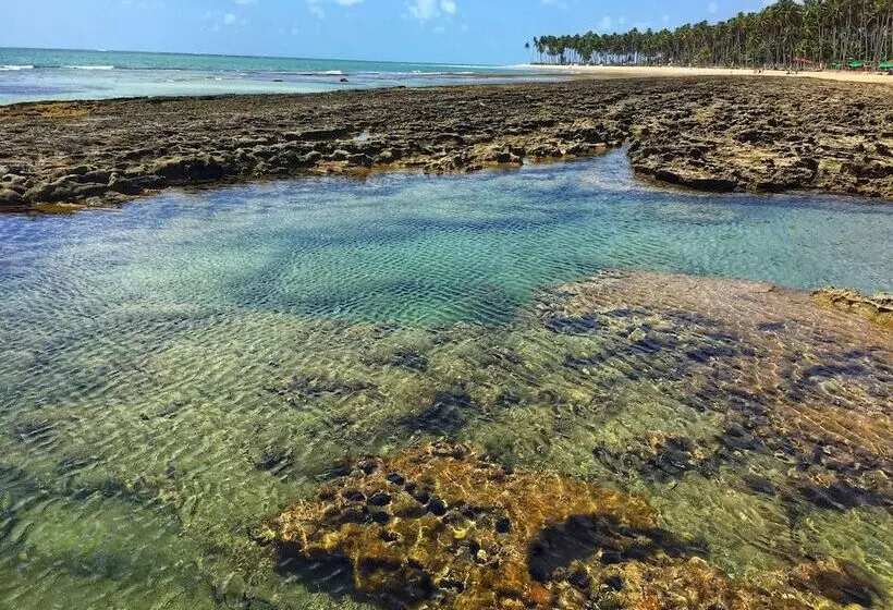 Maaseutuhotelli Fazenda Amaragi