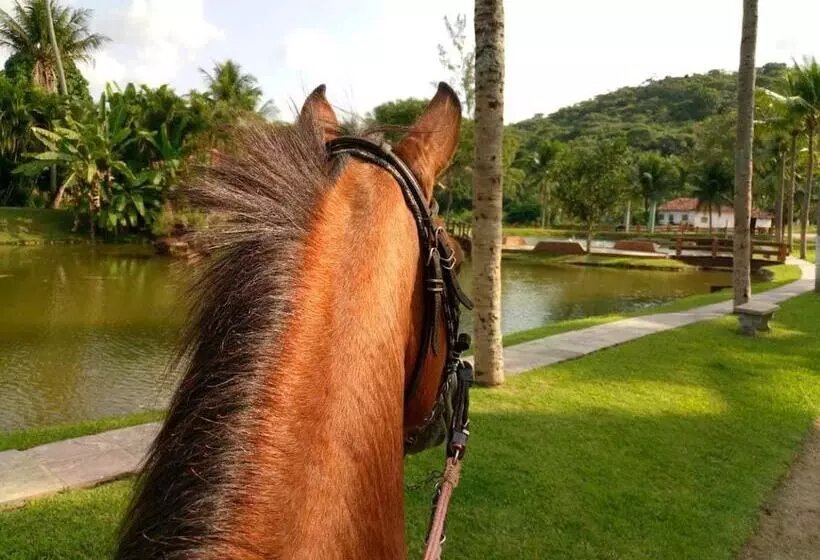 Maaseutuhotelli Fazenda Amaragi