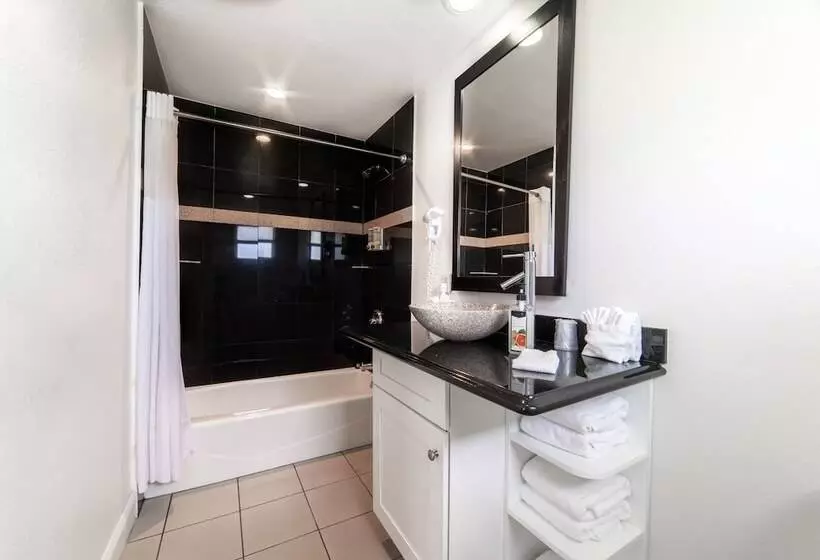 Everglades City Motel