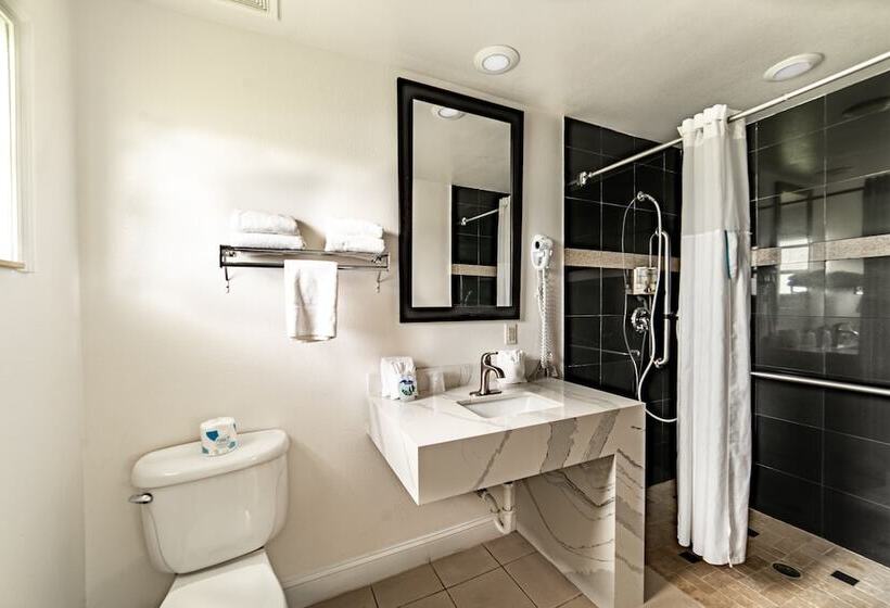 Everglades City Motel