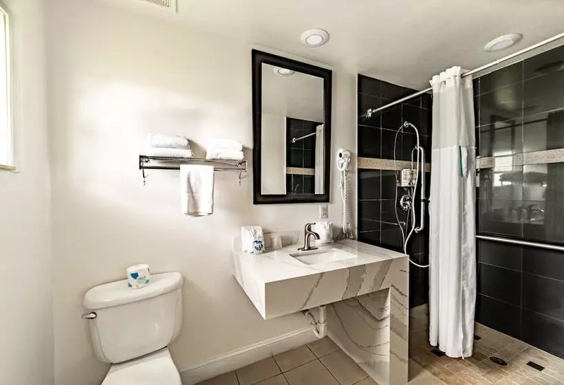 Everglades City Motel