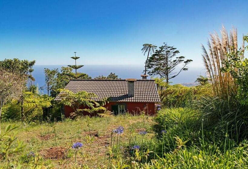 Hotelli Quinta Devónia By An Island Apart