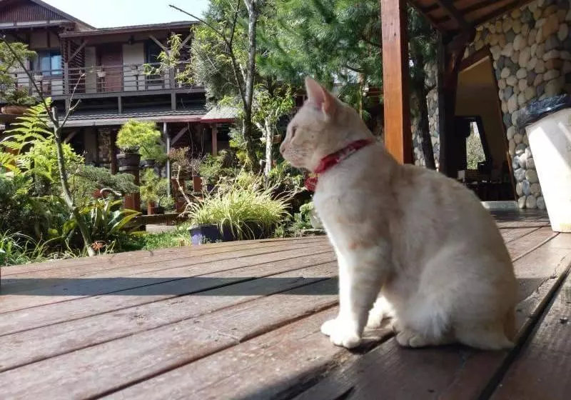 هتل Shiyai Taoyuan