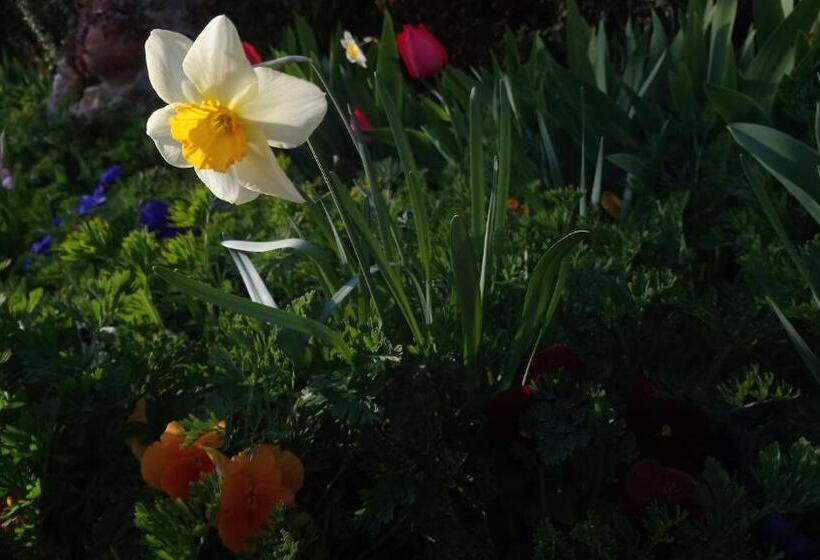 בית מלון כפרי Victoria Family