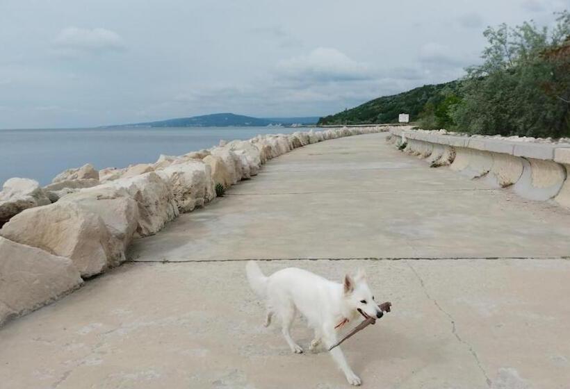 בית מלון כפרי Victoria Family