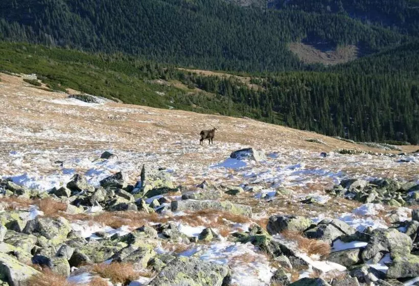 Lomakeskus Ski & Wellness Residence Družba