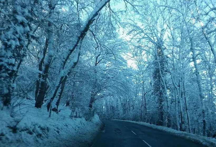 Aamiaismajoitus (B&B) The Old School House