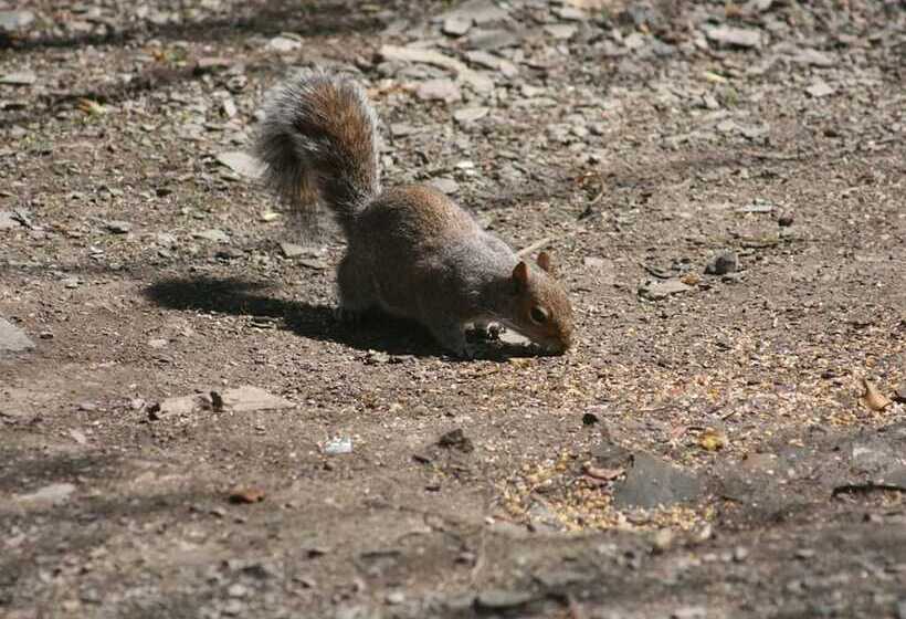민박 The Old School House