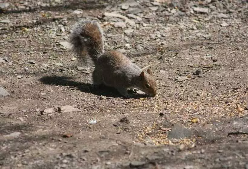 Aamiaismajoitus (B&B) The Old School House