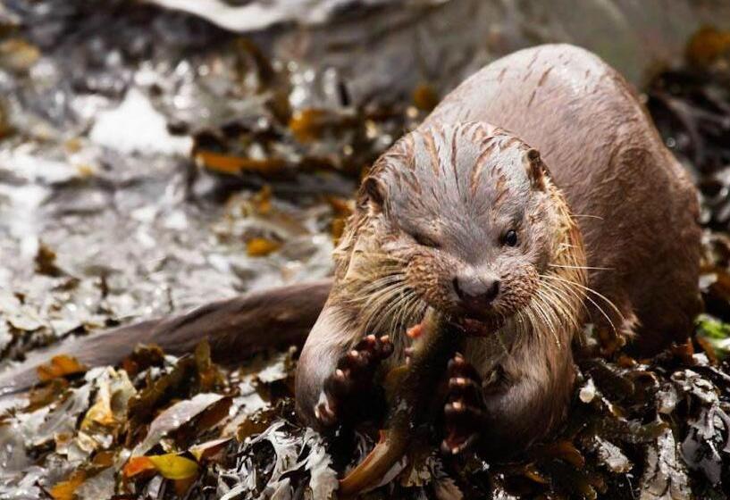 酒店 St Magnus Bay