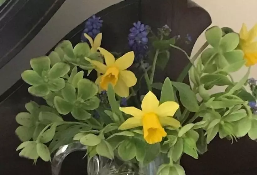 Majatalo Brimford House