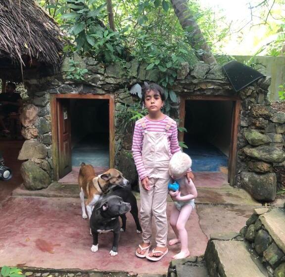 Schronisko Chill Nasa