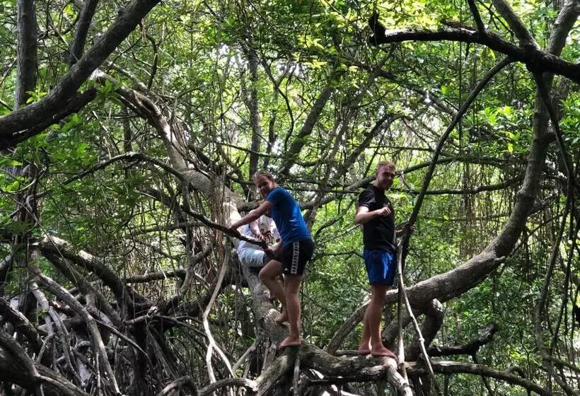 Retkeilymaja Chill Nasa