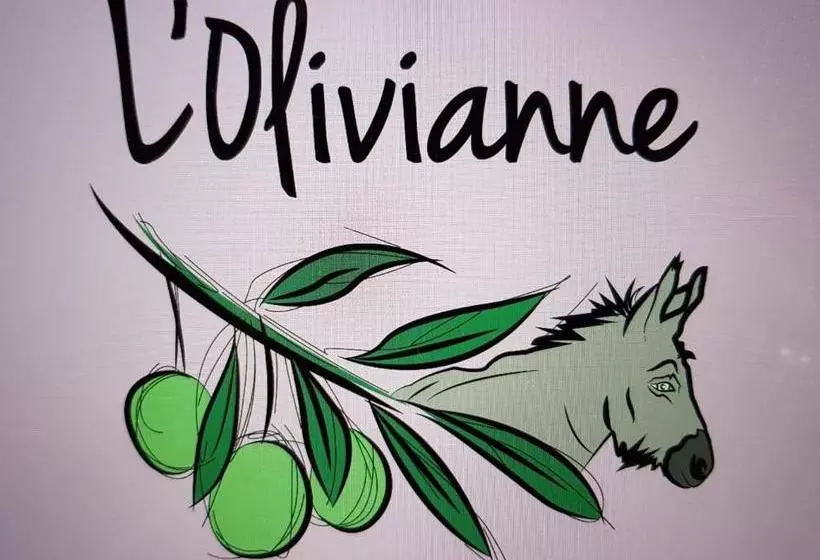 ベッドアンドブレックファースト Chambre D'hôtes L'olivianne