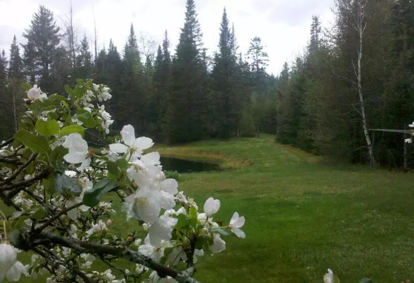 Hotelli Carlson S Lodge