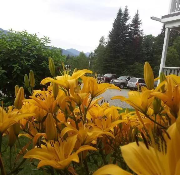 Hotelli Carlson S Lodge