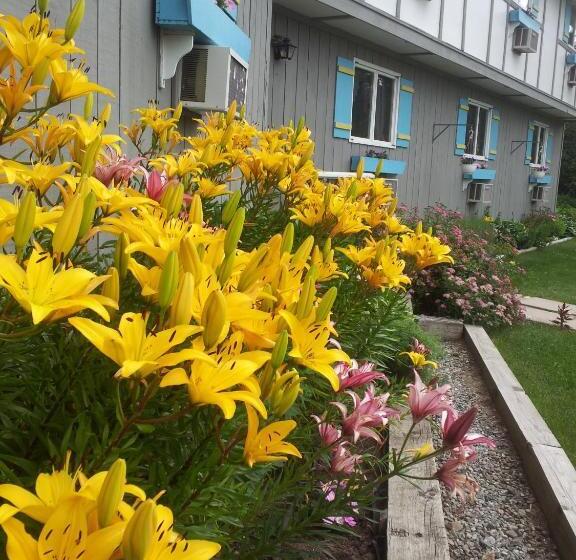 酒店 Carlson S Lodge