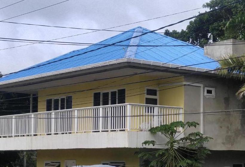 پانسیون Orange House Downtown