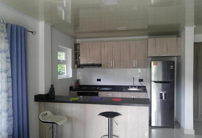 پانسیون Orange House Downtown