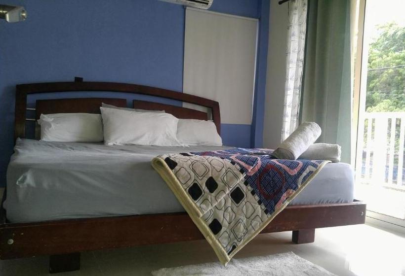 پانسیون Orange House Downtown