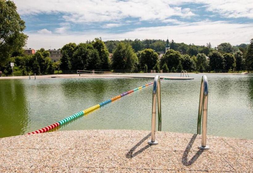 פנסיון Penzion David