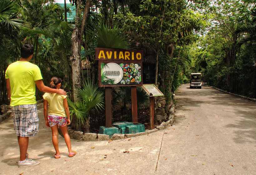 Hotel Bel Air Collection Resort & Spa Riviera Maya