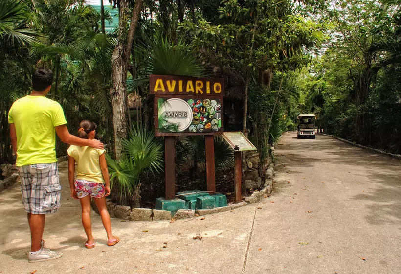 호텔 Bel Air Collection Resort & Spa Riviera Maya