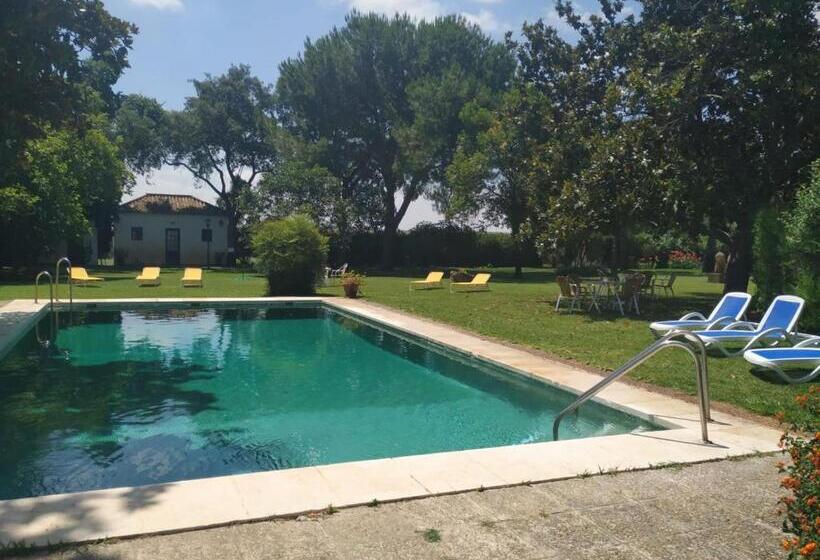 فندق Cortijo El Esparragal