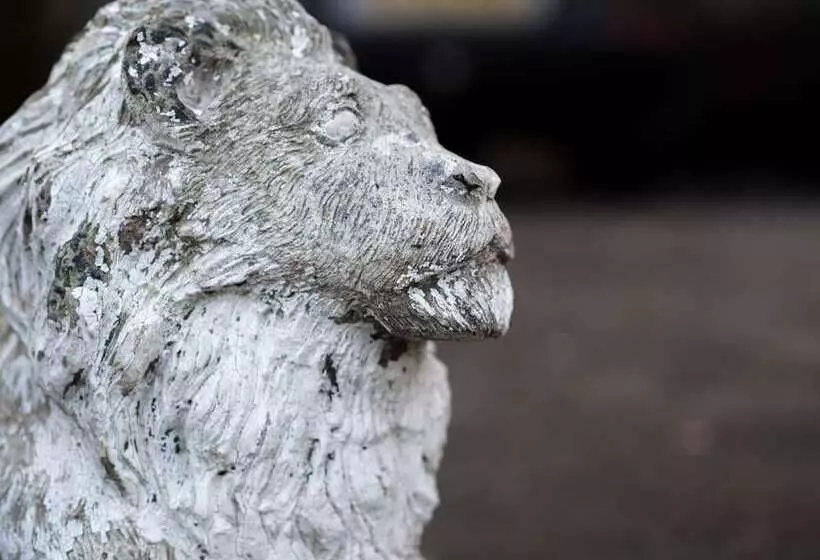 בית מלון כפרי Cumberland