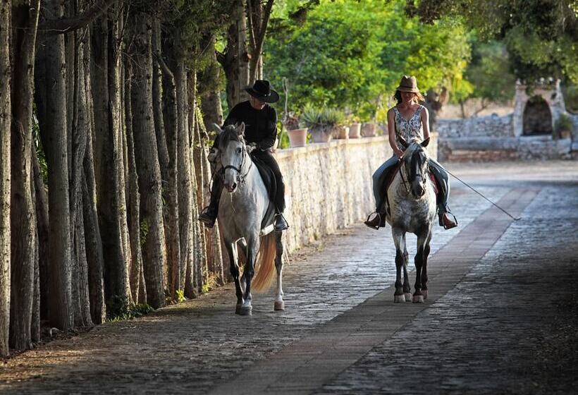 هتل روستایی Sa Bassa Rotja Ecoturisme