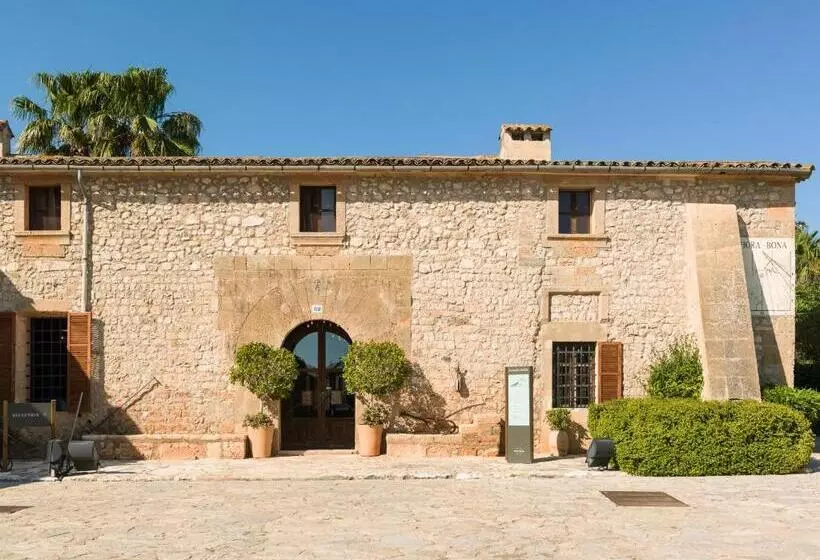 فندق ريفى Sa Bassa Rotja Ecoturisme