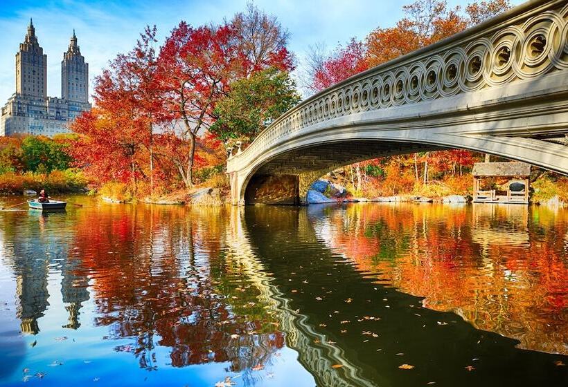 酒店 The Muse New York