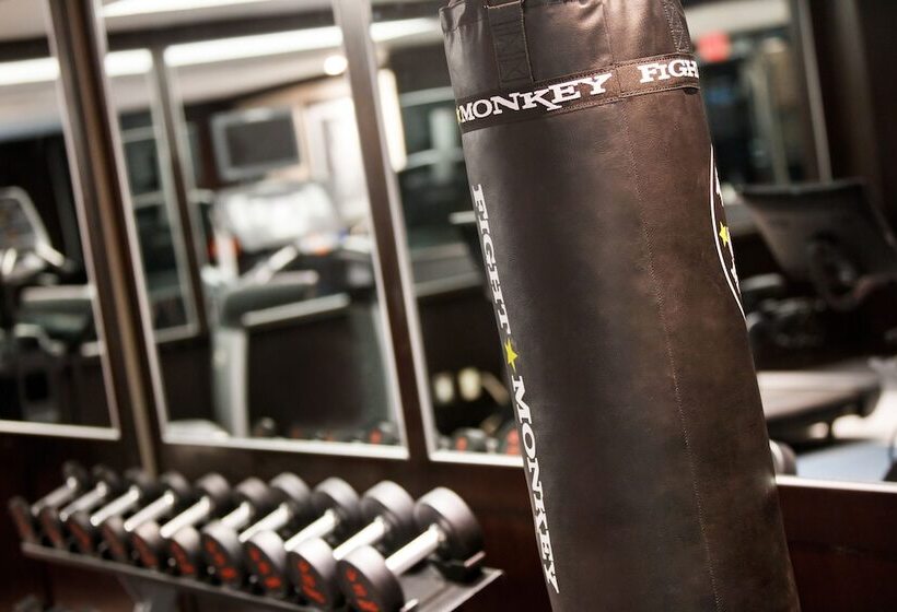 酒店 The Muse New York