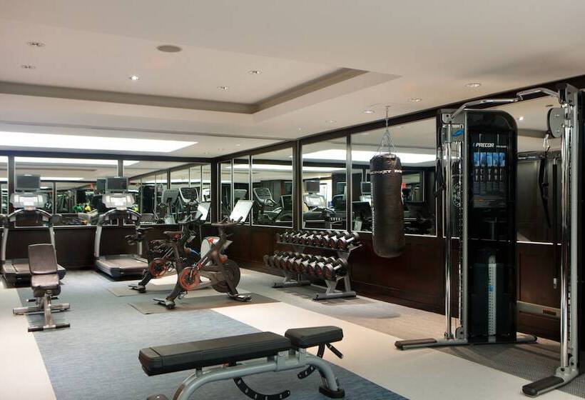 酒店 The Muse New York