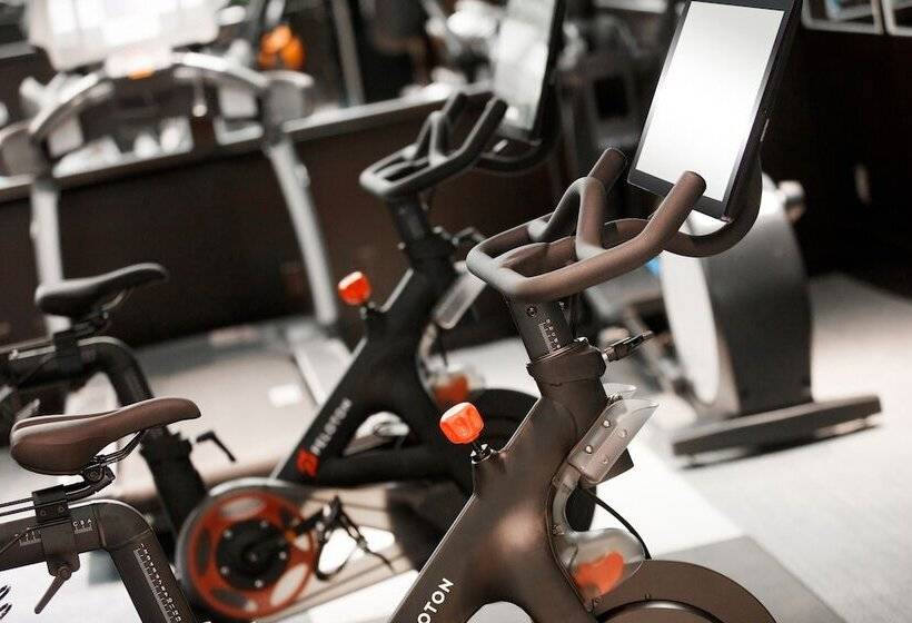 酒店 The Muse New York