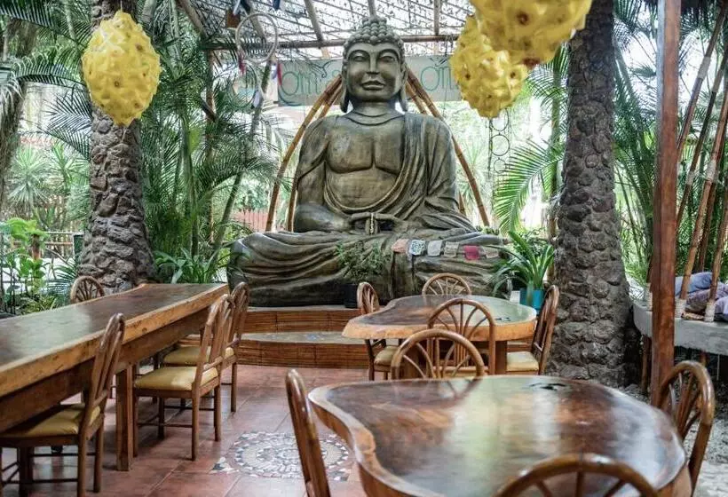 ユースホステル Casa Del Sol
