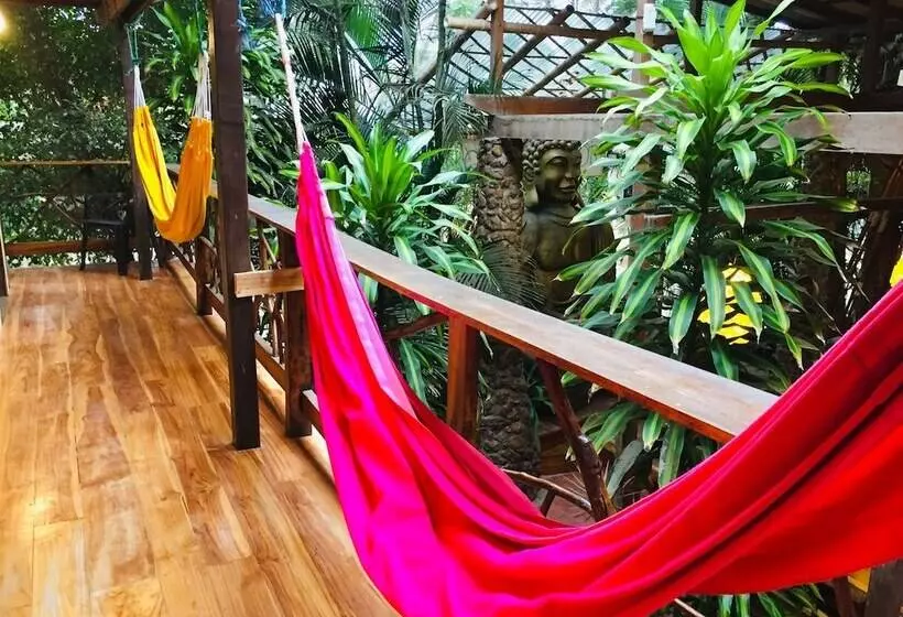 ユースホステル Casa Del Sol
